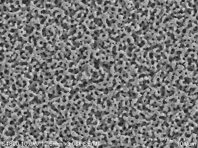 SPG Membrane SEM photo Pore structure